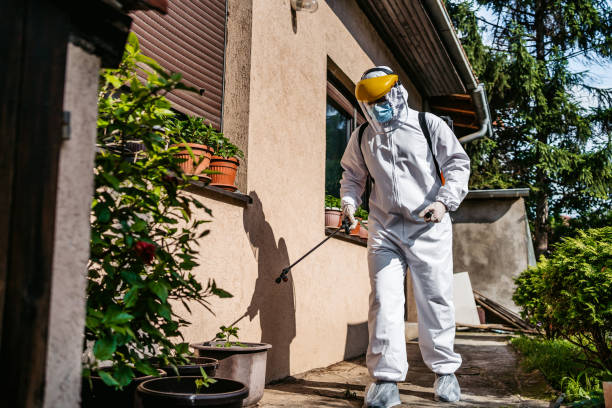 Reliable Newhall, IA Pest Control Solutions