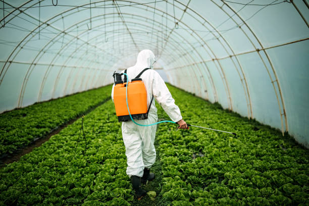 Best Best Pest Control Companies  in Newhall, IA