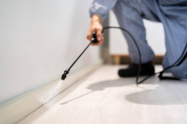 Pest Prevention Services in Newhall, IA