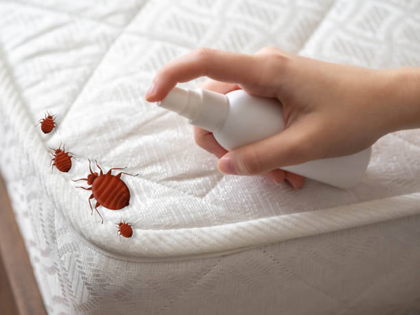 Newhall, IA Pest Control Company