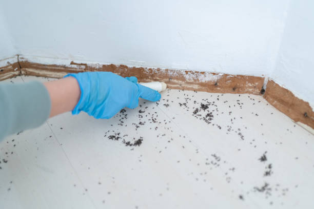 Best Affordable Pest Control Services  in Newhall, IA