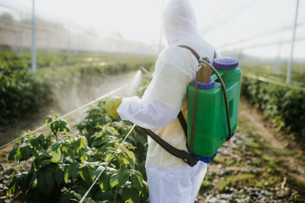 Best Emergency Pest Control  in Newhall, IA
